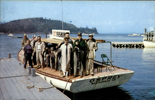 Bar harbor deep sea fishing - bar, deep-sea