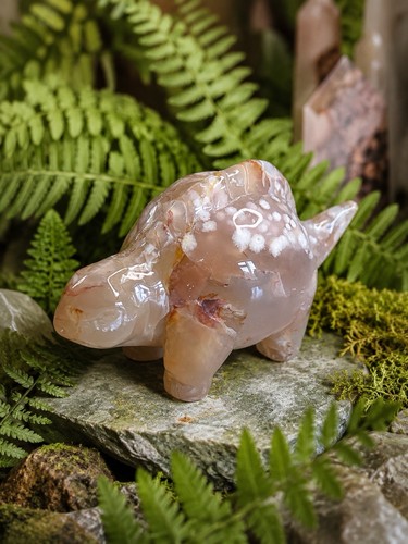 Flower agate dinosaur - flower, dino