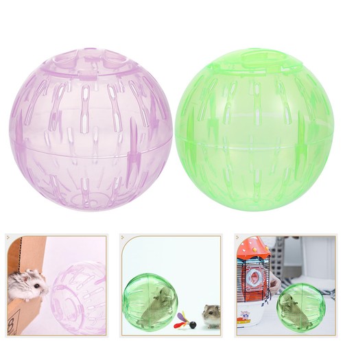Plastic reusable hamster - reusable,