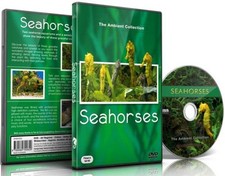Aquarium DVD- Seahorses - with Relaxing Music and Nature Sounds