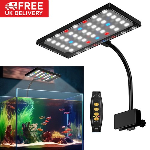 Aquarium fish tank - aquarium, light