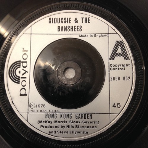 Siouxsie and the banshees - the,