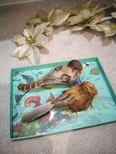 Fortnum and Mason two Robins