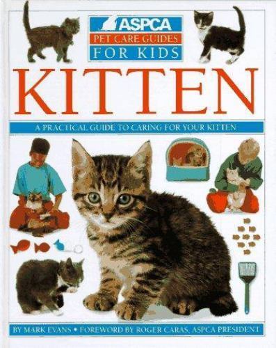 Kitten aspca pet care for - kitten;,