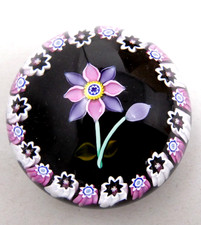 Peter McDougall Glass