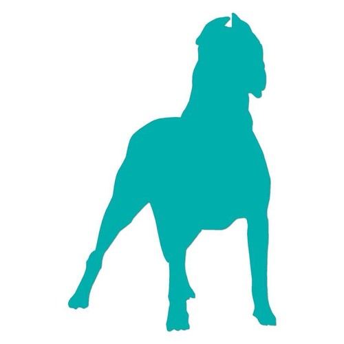 Cane corso dog vinyl decal - cane,