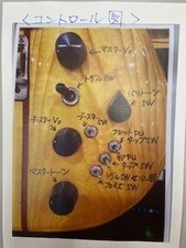 Aria Pro II TS-600 Electric