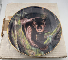 EYES OF NIGHT Plate Rob