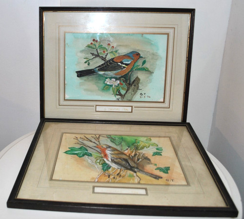 Bird watercolour thomas - by, g