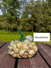 Garlic Messidrome Garden