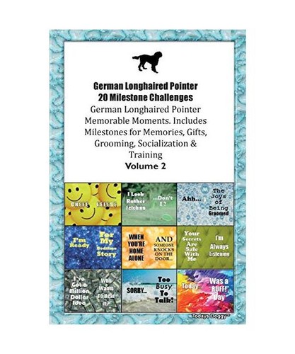 German longhaired pointer - pointer, 20