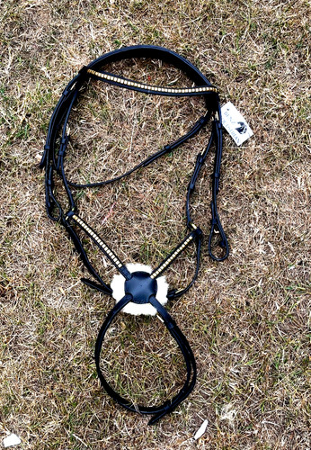Clincher grackle bridle - bridle, figure
