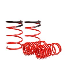 SKUNK2 LOWERING SPRINGS 02-05