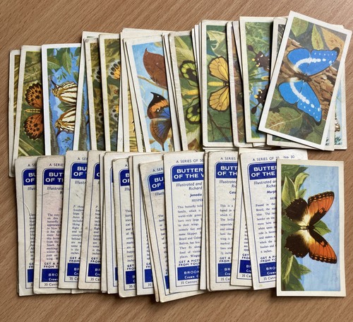Butterflies the world - butterflies, of