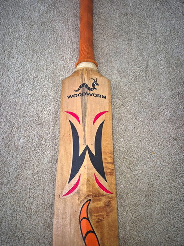 Woodworm pioneer the - woodworm,