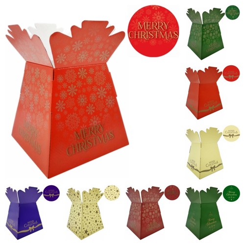 Xmas design living flower - living,