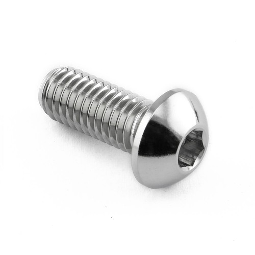 Stainless steel disc bolt - stainless,