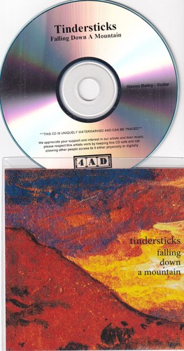 10s indie rock - rock, tindersticks