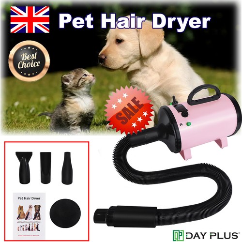 2800w pet dog - dog, cat
