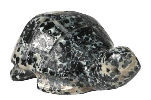 Zuni pueblo turtle fetish - pueblo,