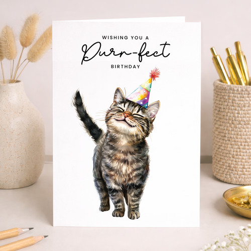 Brown tabby cat - cat, birthday