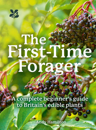 The first time forager a - first-time,