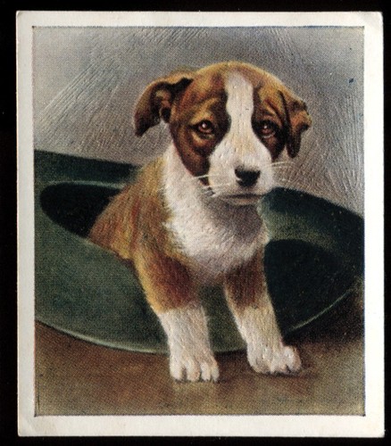 Tobacco card godfrey - tobacco,