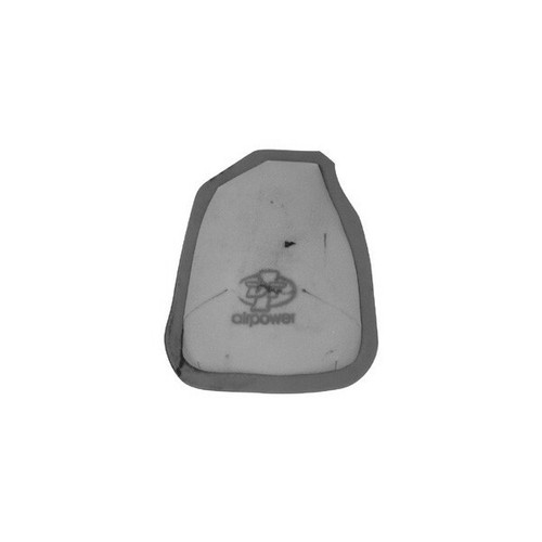 Air filter rw748 - dt-1, sponge