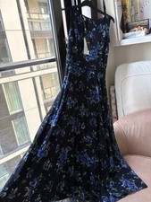 BNWT Carly Hobbs Dress |
