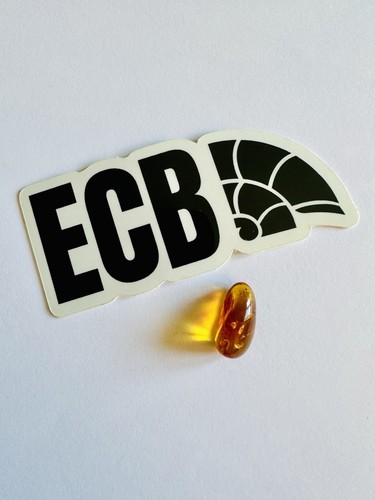 Baltic amber with - baltic,