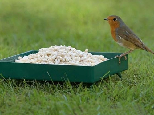 Wild bird metal ground - wild,