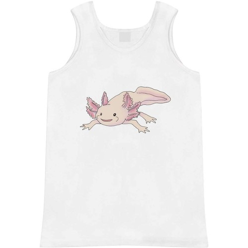Axolotl salamander adult - 'axolotl,