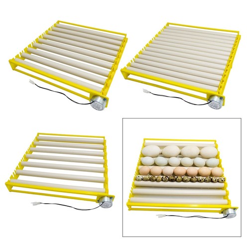 Egg incubator for - 42/56,
