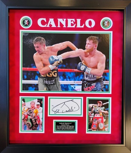 Saul canelo alvarez signed - alvarez,