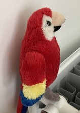 Red macaw parrot - macaw, soft