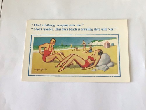 Donald mcgill postcard saucy - mcgill,