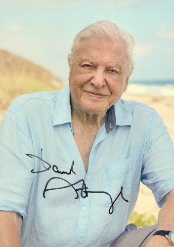 Sir david attenborough signed - sir,