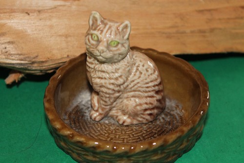 Large wade tabby cat a - large,