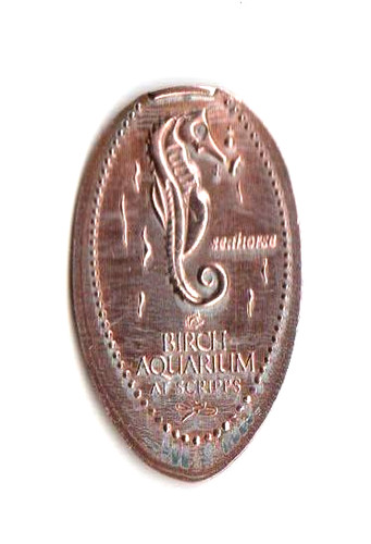 Elongated penny birch - elongated,