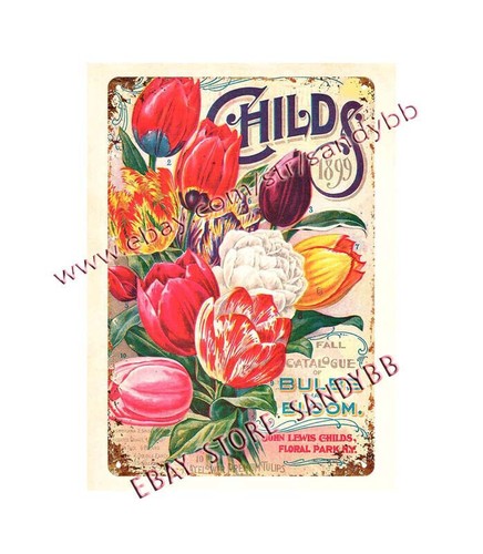 Apartment accessories 1899 - accessories,