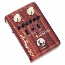 LR Baggs Align Series Active