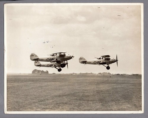 Hawker hart formation - hawker, large