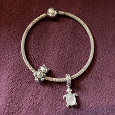 Pandora Bracelet With 2 Charms