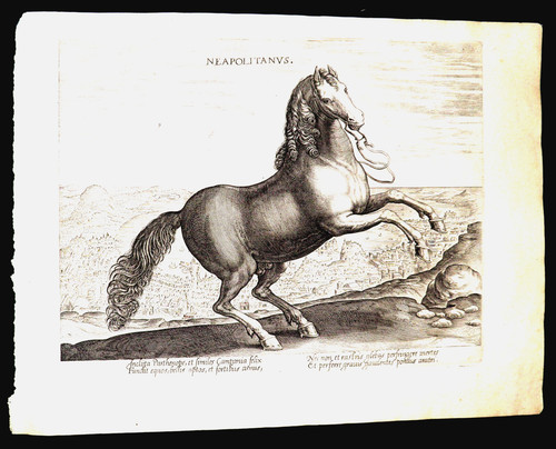 1580-RARE-NAPLES-NEAPOLITANUS-
