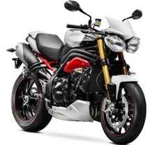Triumph Speed Triple Touch Up Paint Kit , Free lacquer pick your colour 