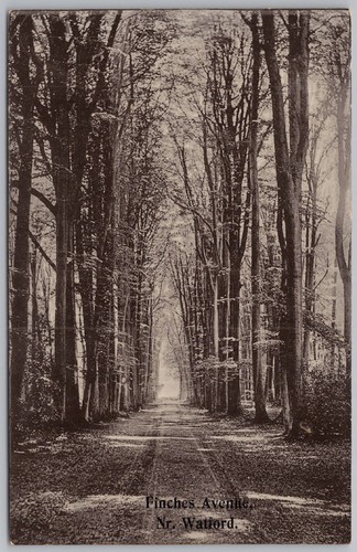 Finches avenue near watford - finches,