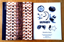 Sandile Zulu (Taxi Art Series)