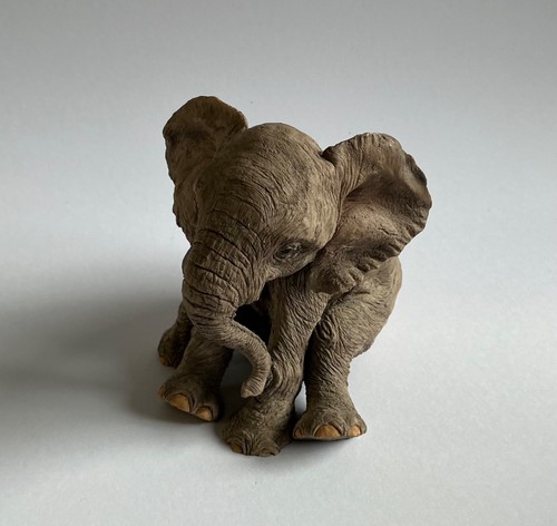Tuskers paw - /,