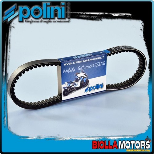 248 041 polini benelli 491 - polini, 50