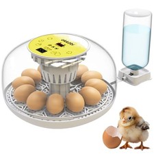 Egg Incubator with Automatic Turning and Humidity Control - 12/24 Eggs, 360° Vie